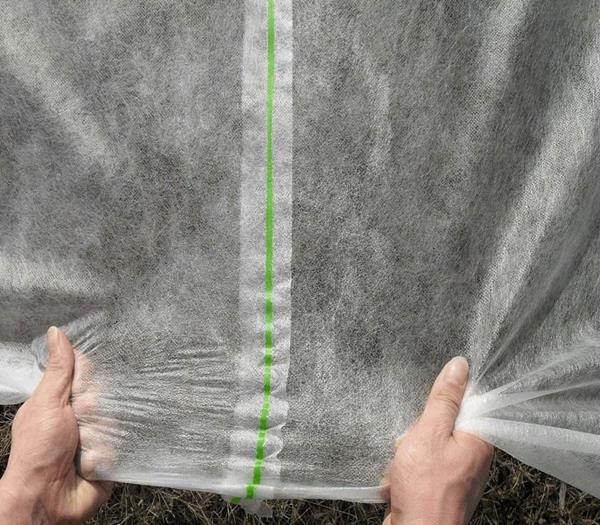 PP non-woven fabric in Agriculture